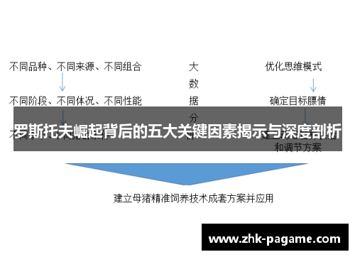 罗斯托夫崛起背后的五大关键因素揭示与深度剖析