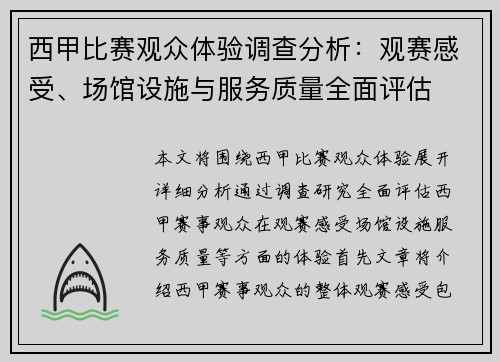 西甲比赛观众体验调查分析：观赛感受、场馆设施与服务质量全面评估